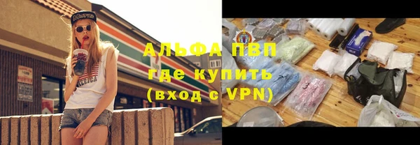 сатива Алзамай