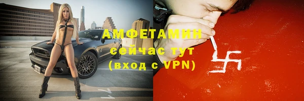 сатива Алзамай