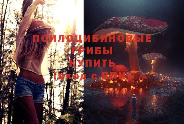 твердый Алексеевка